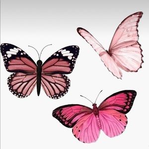 Meet your Posher, Sofia